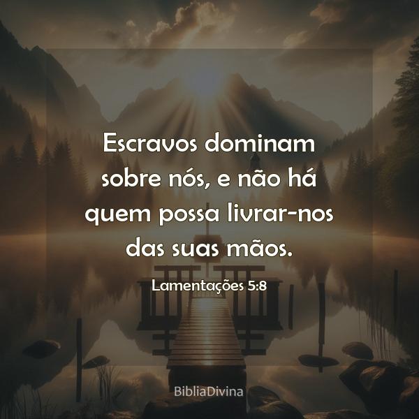 Lamentações 5:8