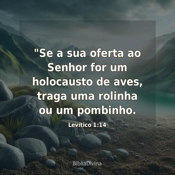 Levítico 1:14