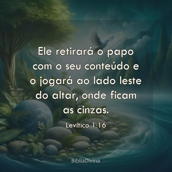 Levítico 1:16