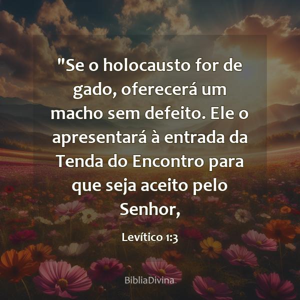 Levítico 1:3