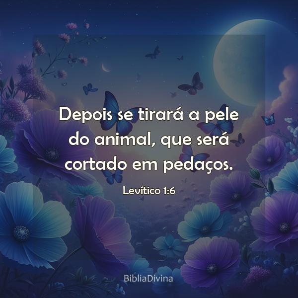 Levítico 1:6