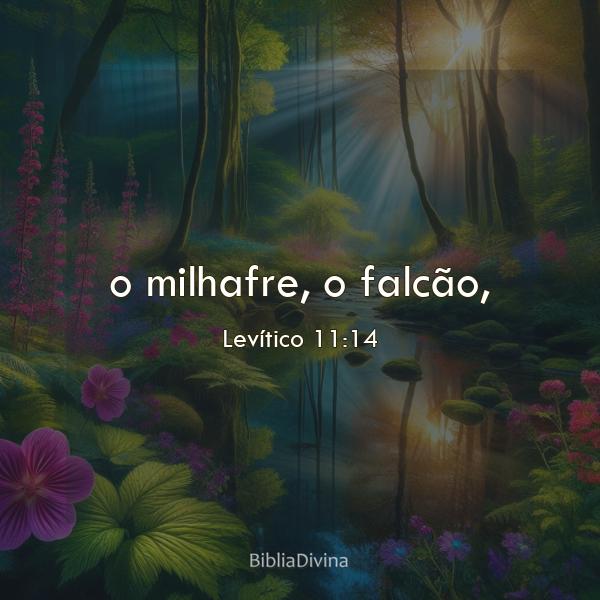 Levítico 11:14