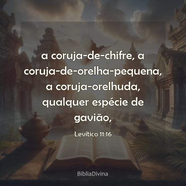 Levítico 11:16