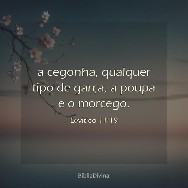 Levítico 11:19