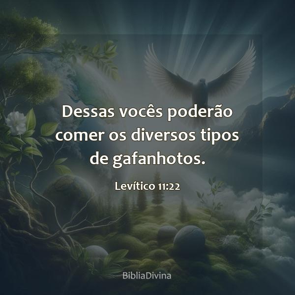 Levítico 11:22