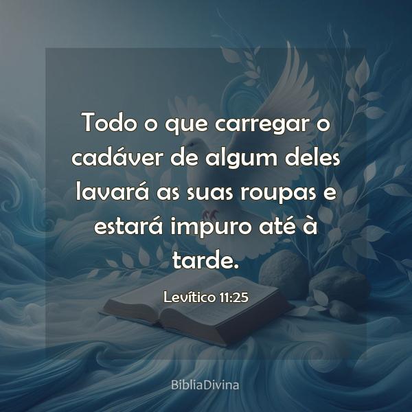 Levítico 11:25