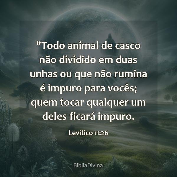 Levítico 11:26