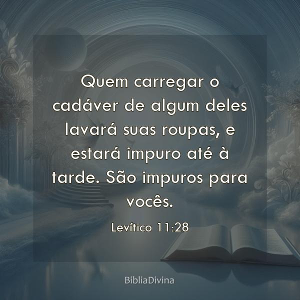 Levítico 11:28