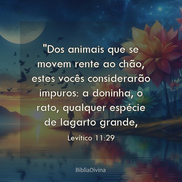 Levítico 11:29