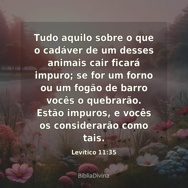 Levítico 11:35