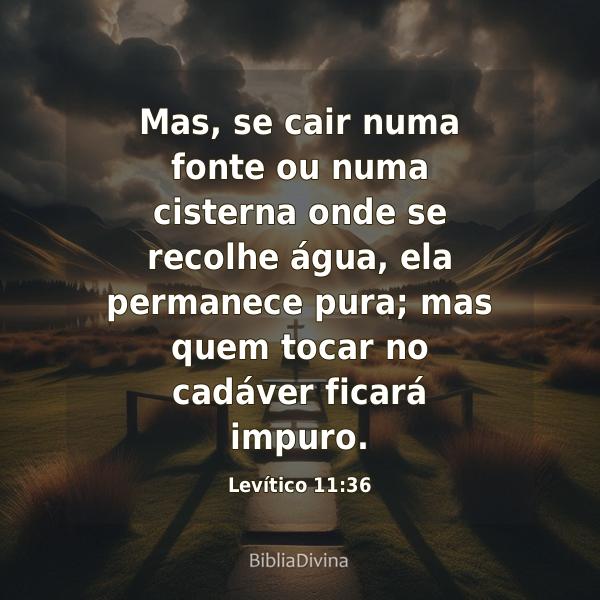 Levítico 11:36