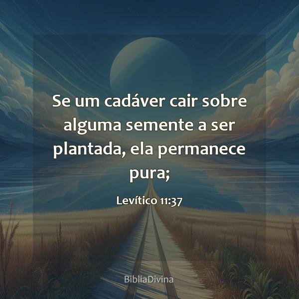 Levítico 11:37