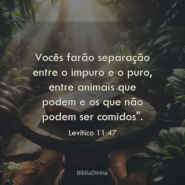 Levítico 11:47