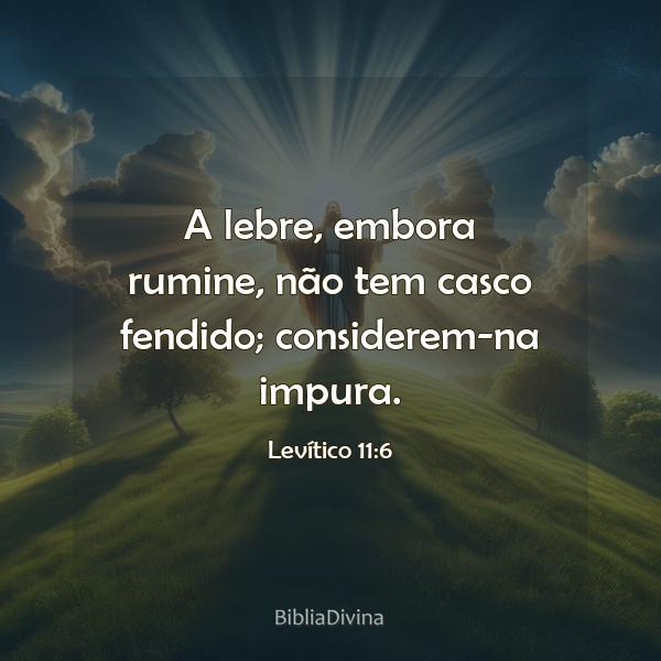 Levítico 11:6