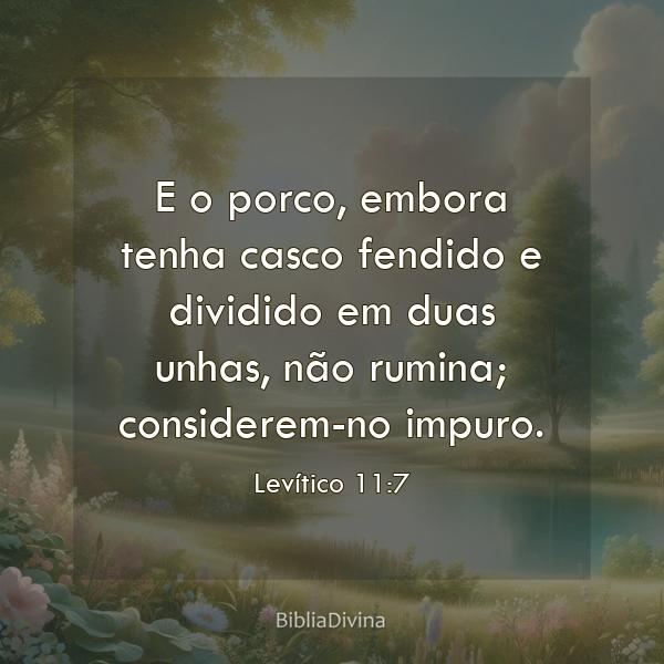 Levítico 11:7