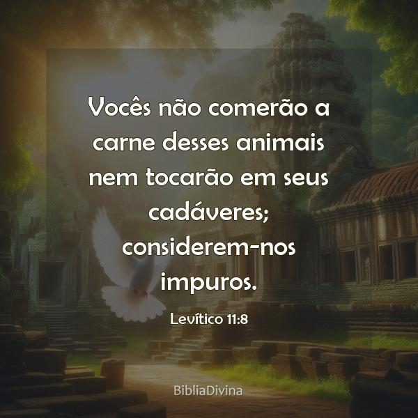 Levítico 11:8