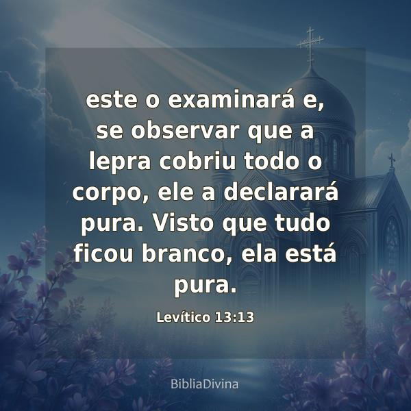 Levítico 13:13