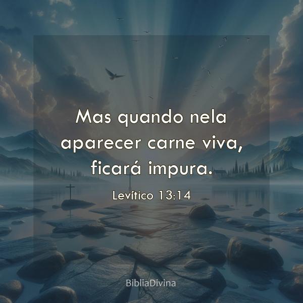 Levítico 13:14