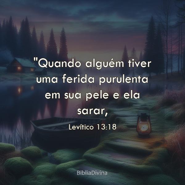 Levítico 13:18