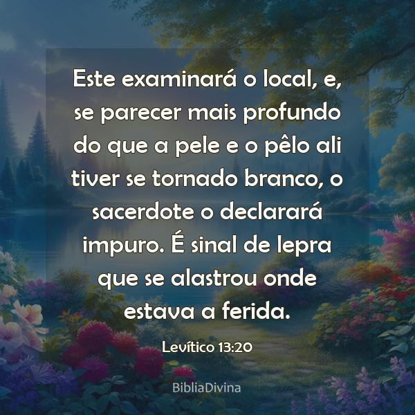 Levítico 13:20