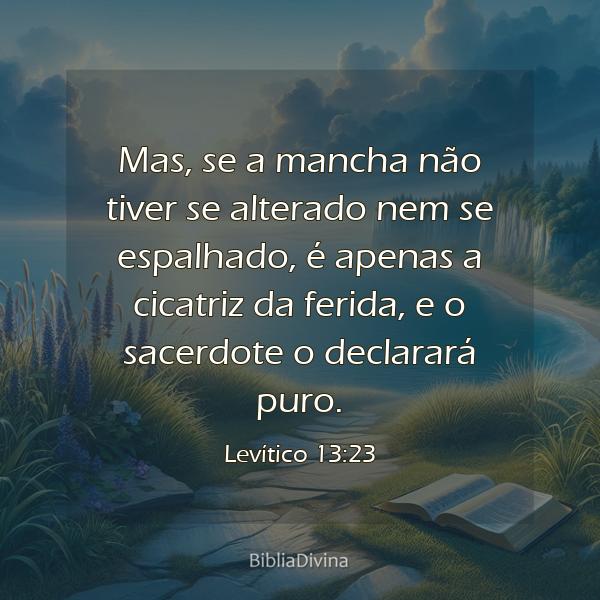 Levítico 13:23