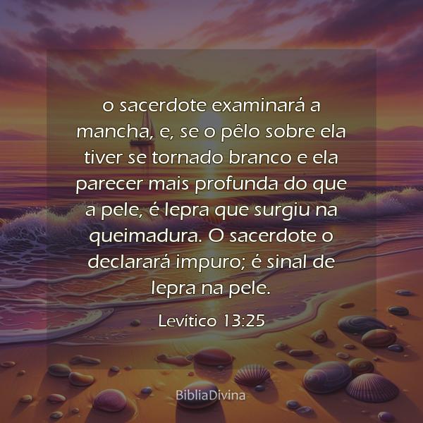 Levítico 13:25