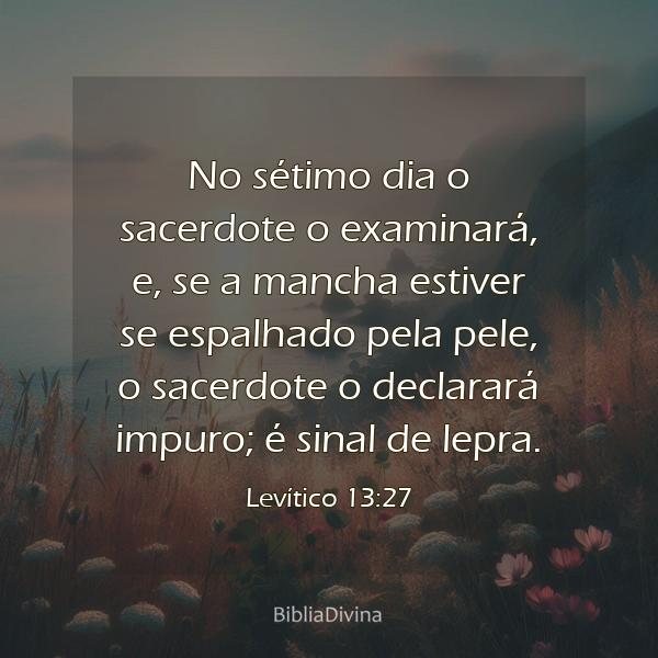 Levítico 13:27