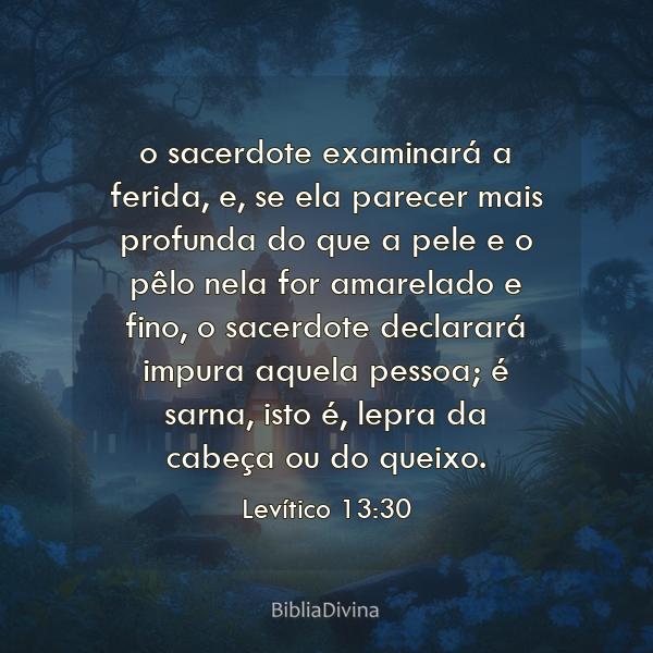 Levítico 13:30