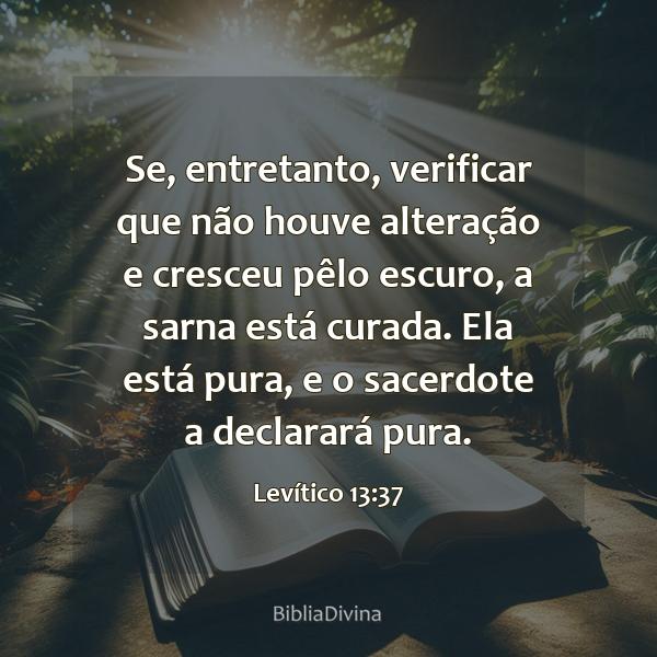 Levítico 13:37