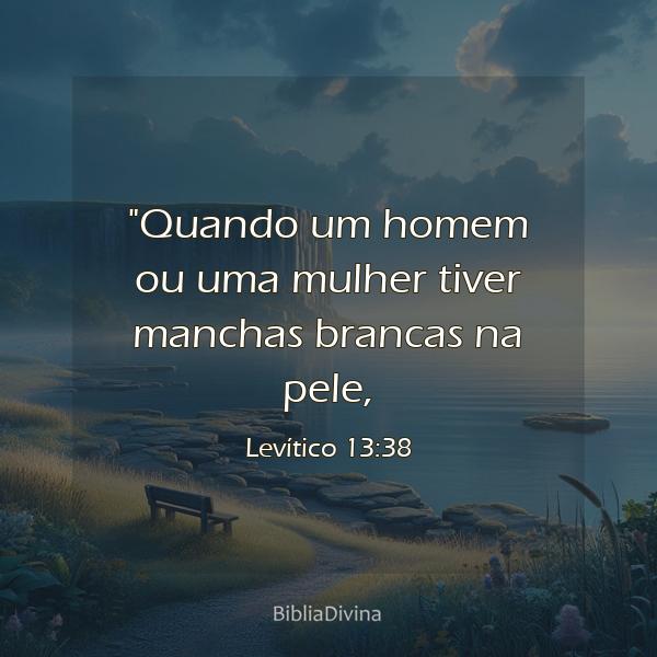 Levítico 13:38