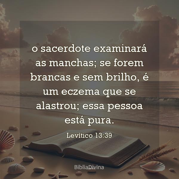 Levítico 13:39