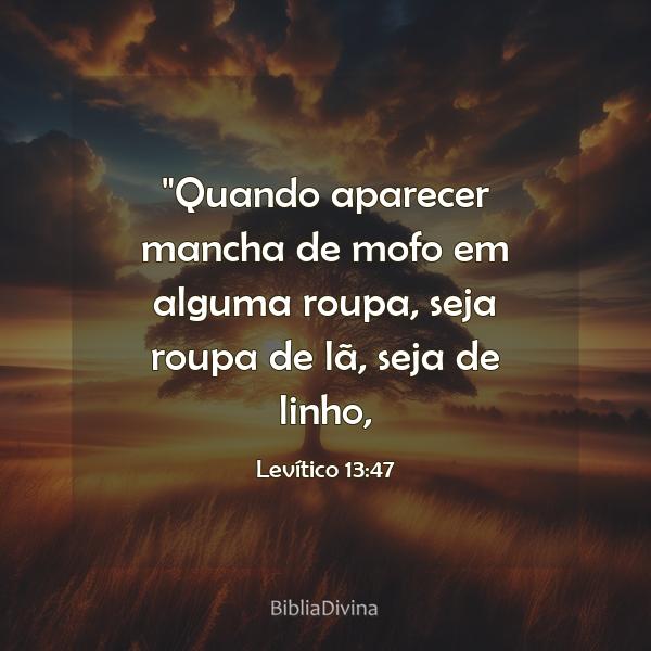 Levítico 13:47