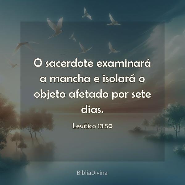 Levítico 13:50