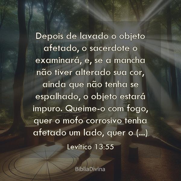 Levítico 13:55