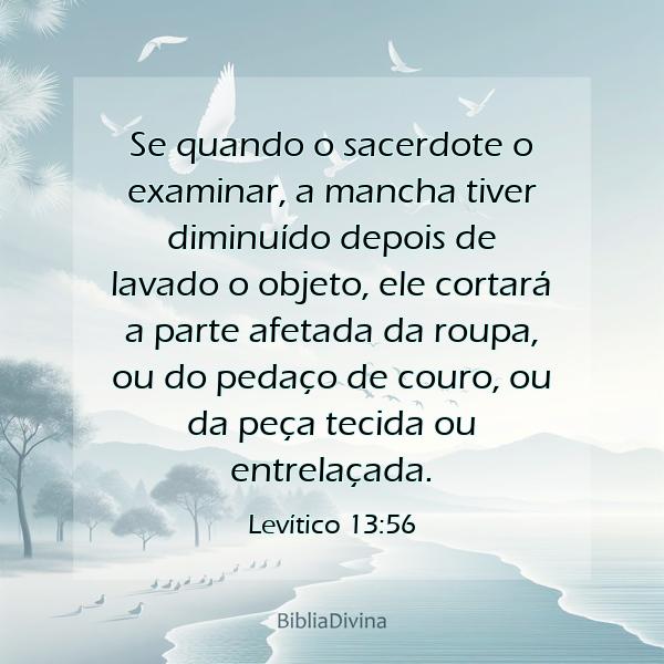 Levítico 13:56