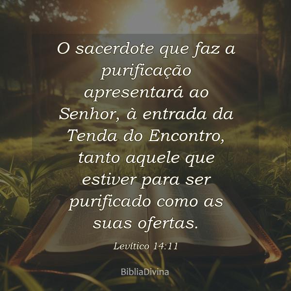 Levítico 14:11