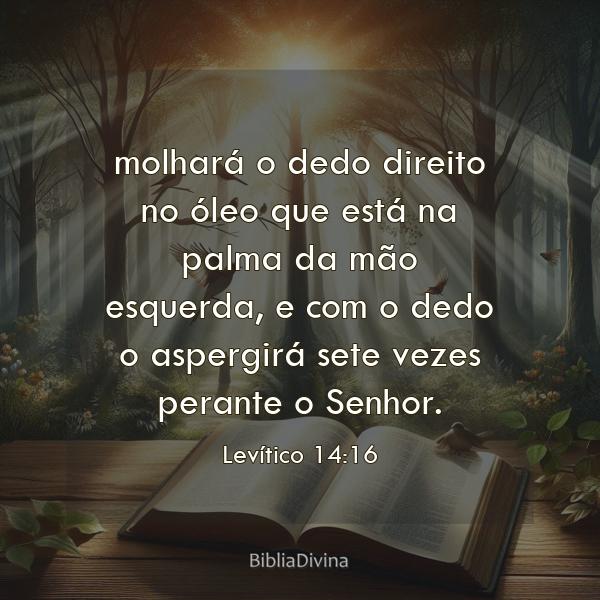 Levítico 14:16