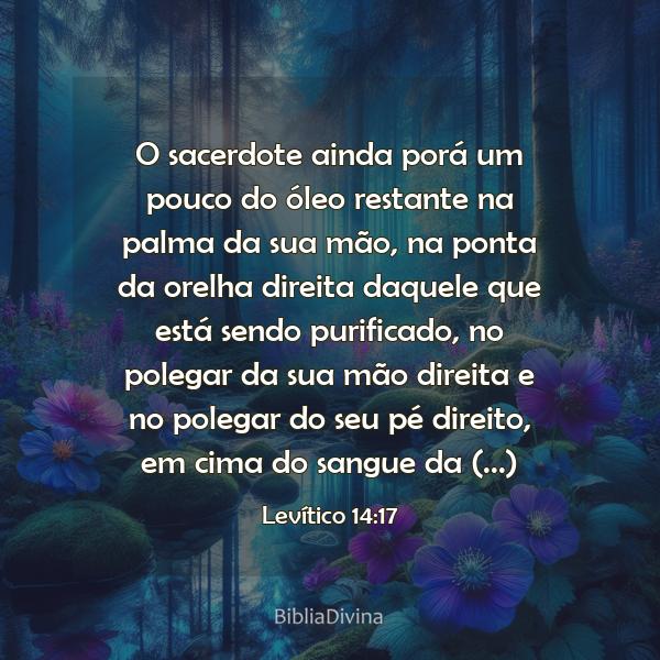 Levítico 14:17