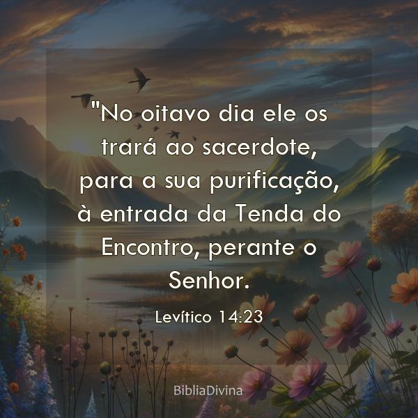 Levítico 14:23