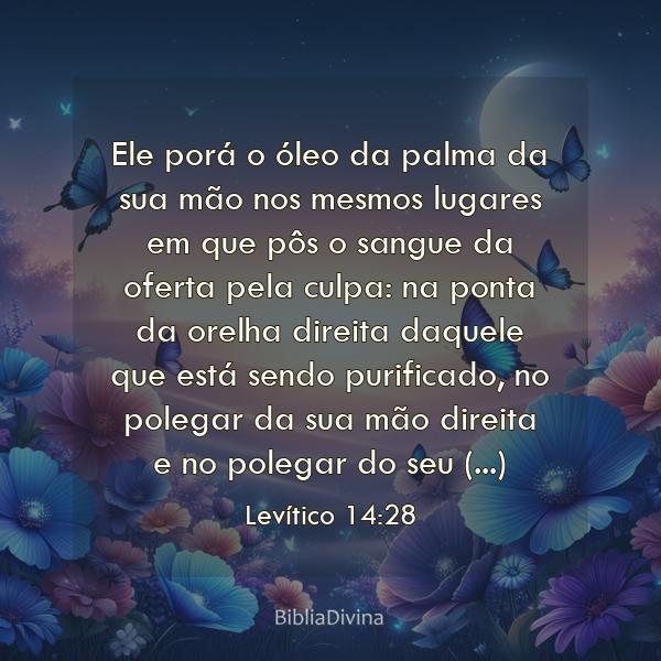 Levítico 14:28