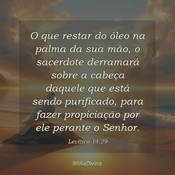 Levítico 14:29