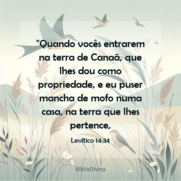 Levítico 14:34