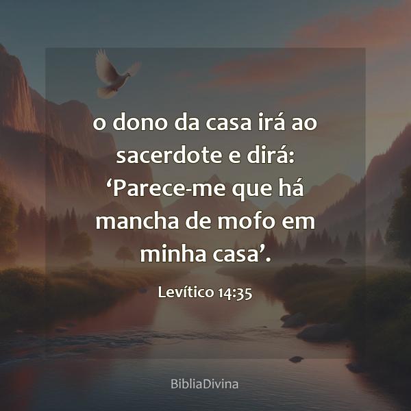 Levítico 14:35