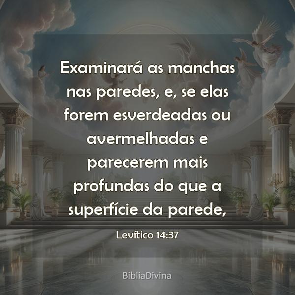 Levítico 14:37