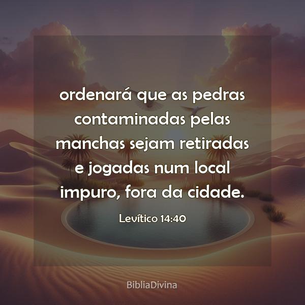 Levítico 14:40