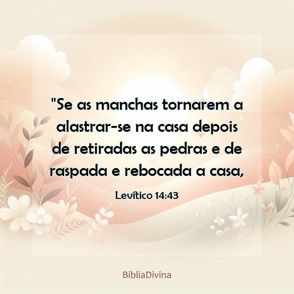 Levítico 14:43