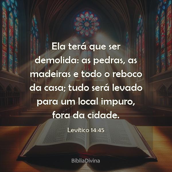 Levítico 14:45