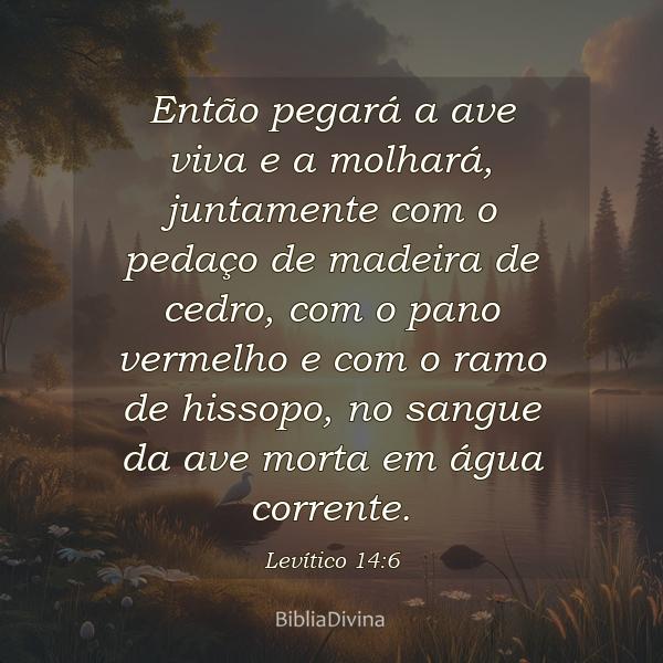 Levítico 14:6