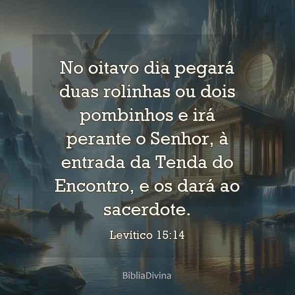 Levítico 15:14