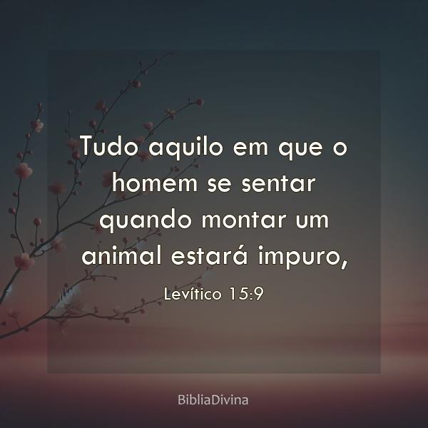 Levítico 15:9